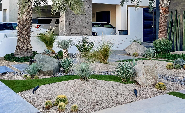 jardim desértico com pedras, cactos e plantas resistentes em paisagismo residencial moderno