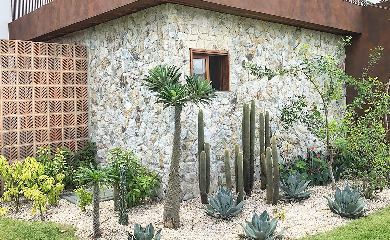 jardim desértico com cactos, pedras claras e composição integrada à fachada da casa