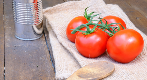 Como guardar tomate: dentro ou fora da geladeira?