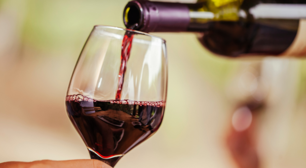 Como servir vinho: 5 práticas que valorizam a bebida