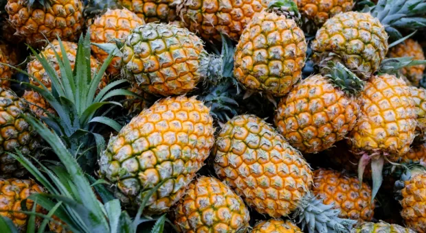 Como escolher abacaxi: acerte no ponto da fruta