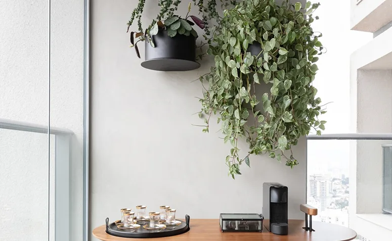 plantas pendentes em vasos fixados na parede de uma varanda