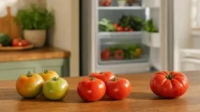Tomate na geladeira: quando o ponto da fruta pede refrigeração