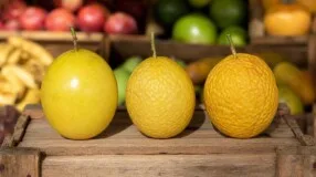 Maracujá liso ou enrugado? O sinal que ajuda a escolher a fruta no ponto