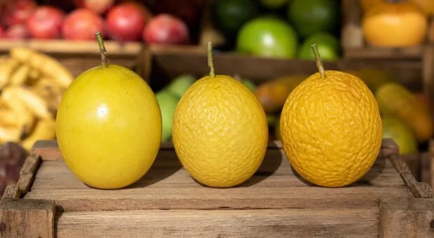 Maracujá liso ou enrugado? O sinal que ajuda a escolher a fruta no ponto