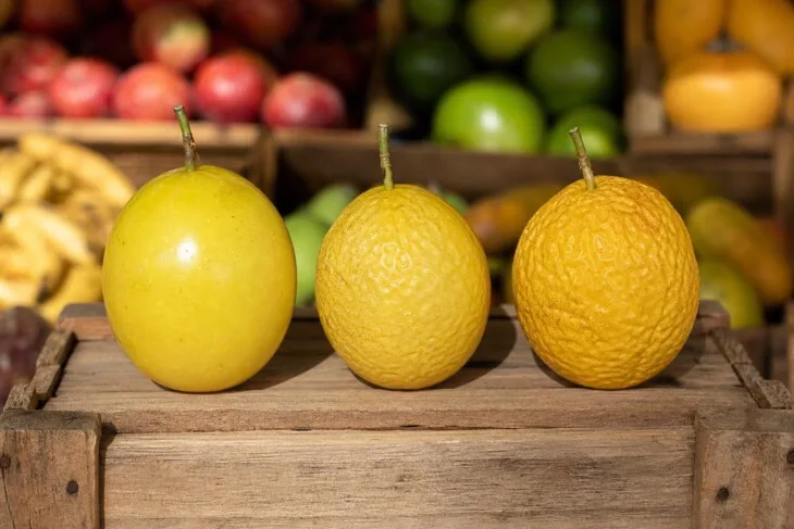 Maracujá liso ou enrugado? O sinal que ajuda a escolher a fruta no ponto