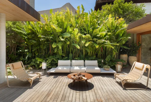 Como criar um jardim sensorial com plantas, aromas e texturas que despertam os sentidos