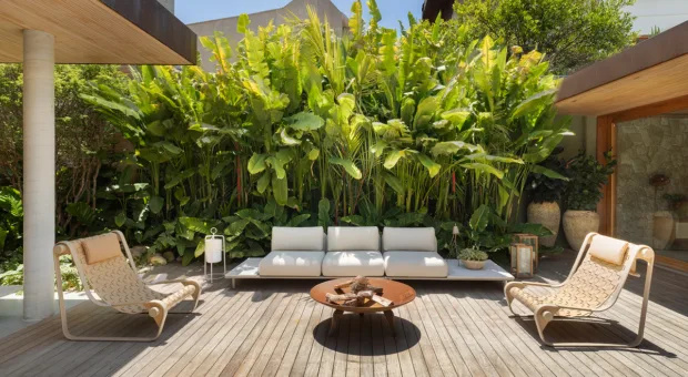 Como criar um jardim sensorial com plantas, aromas e texturas que despertam os sentidos