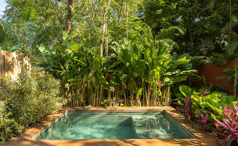 Jardim tropical com piscina cercada por folhagens de diferentes alturas, cores e texturas.
