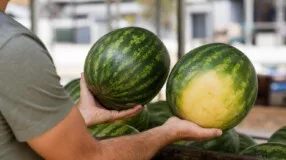 Melancia doce e madura: peso, mancha de chão e som contam juntos